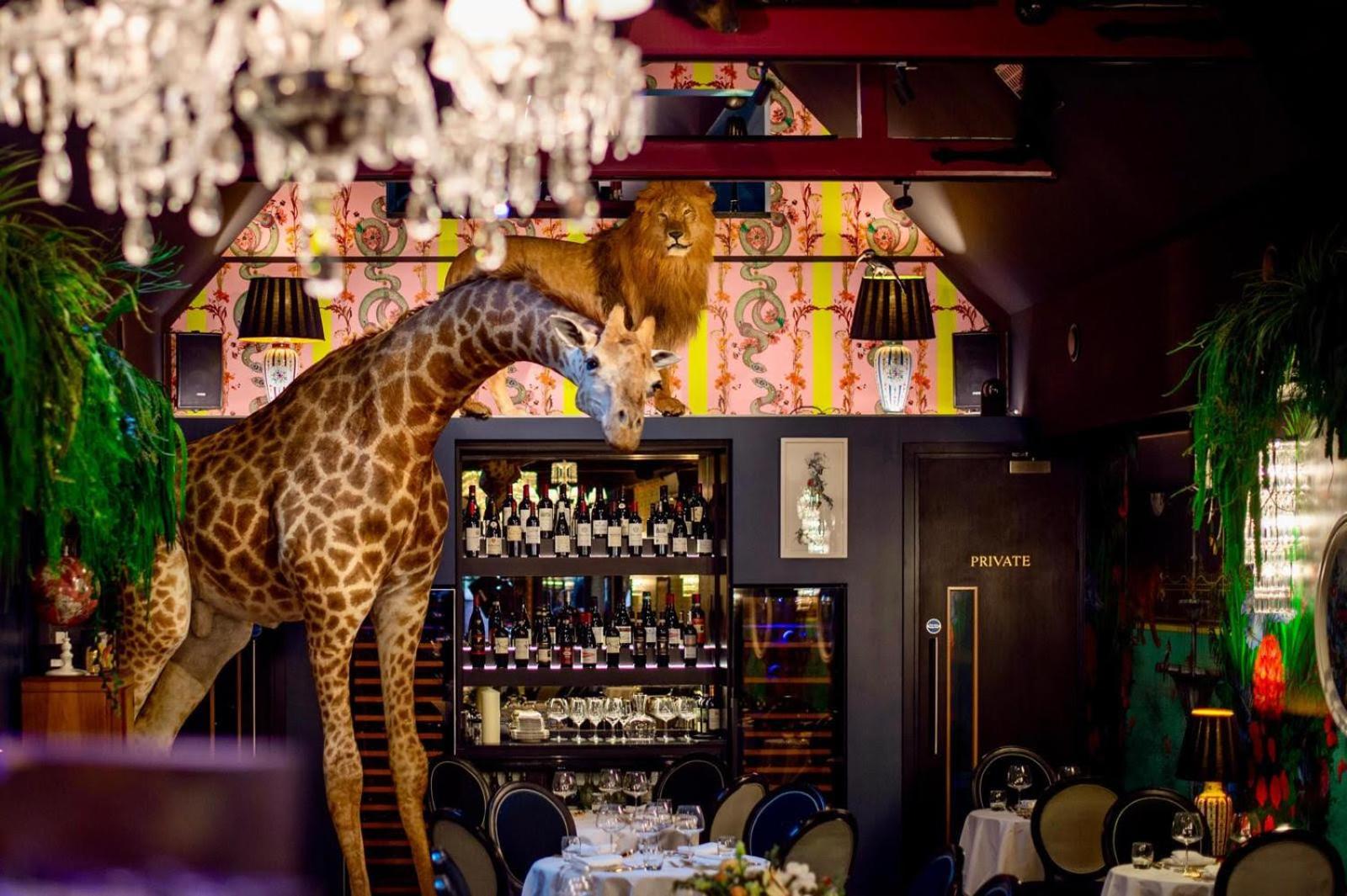 Hux Hotel, Kensington Londres Extérieur photo